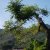 campingyuste (39)